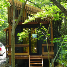 Dog run DSC01717