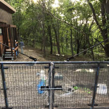 Dog run gate