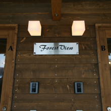 forest-view-01