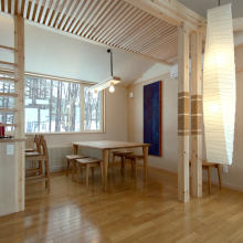 forest-view-02