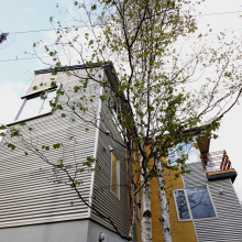 icho-house-23