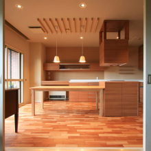n-house-01