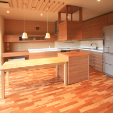 n-house-02