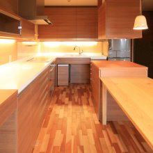 n-house-03